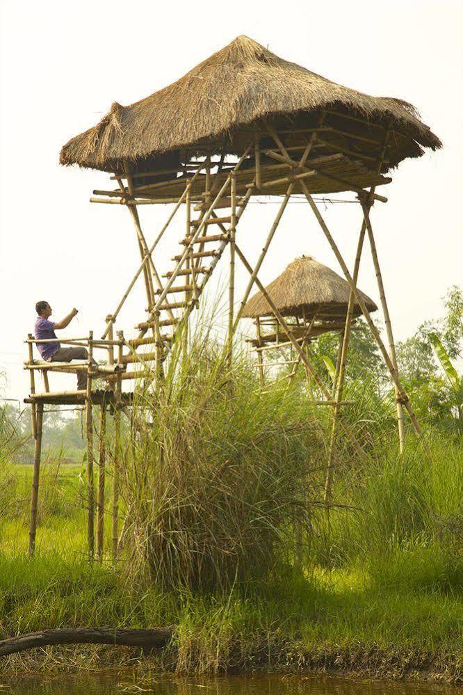 Maruni Sanctuary Lodge By Kgh Group Sauraha Bagian luar foto